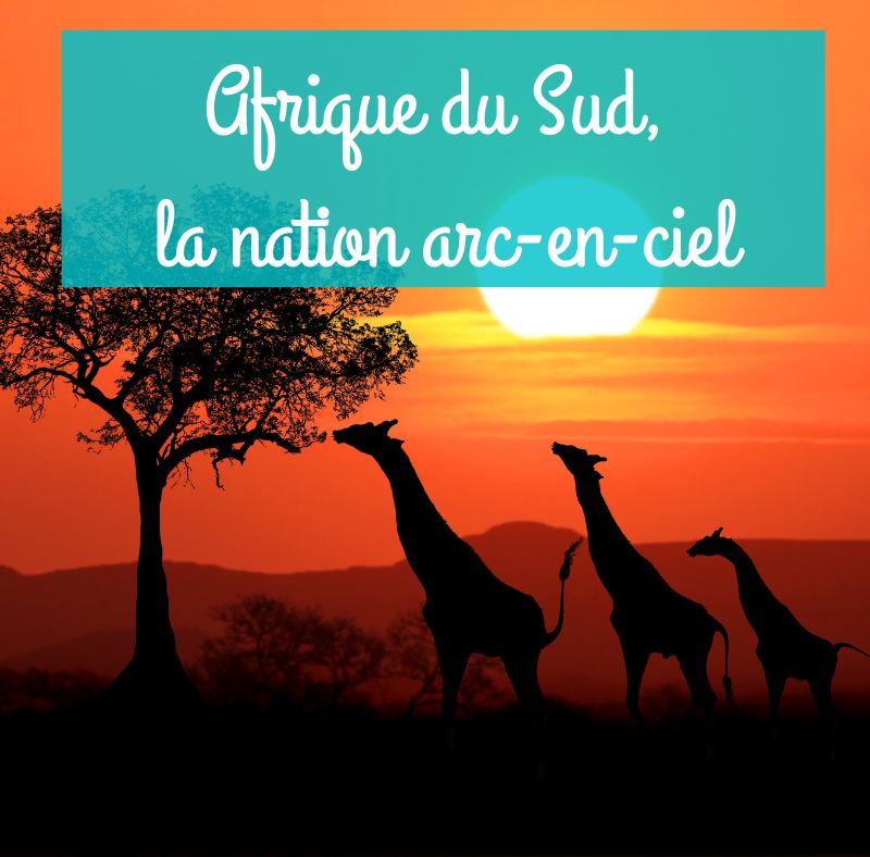 27 oct. : Afrique du Sud, la nation arc-en-ciel