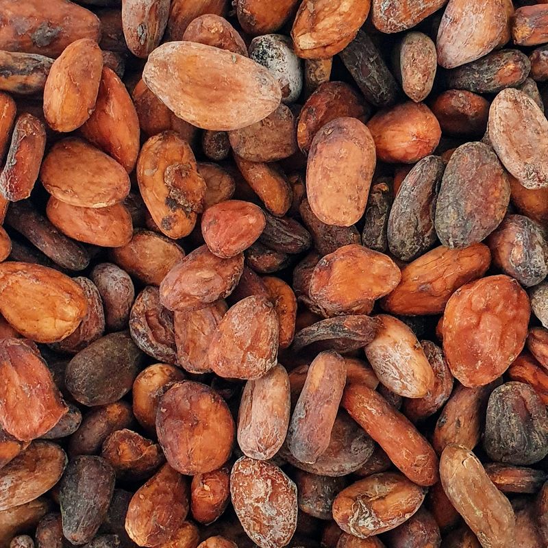 Cacao Fin de Madagascar d'Origine Unique - Grand Cru de Sambirano - 1kg