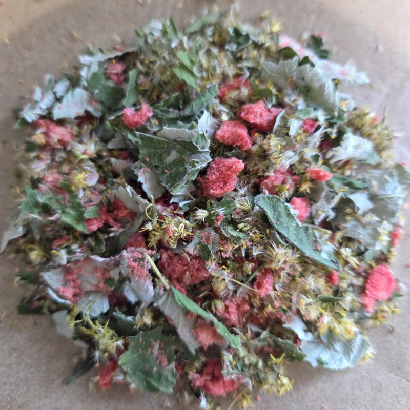 Tisane Verge d'or du Canada