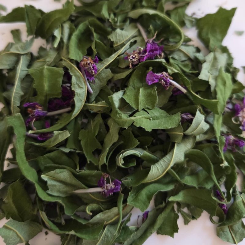 Tisane d'épilobe à feuilles étroites