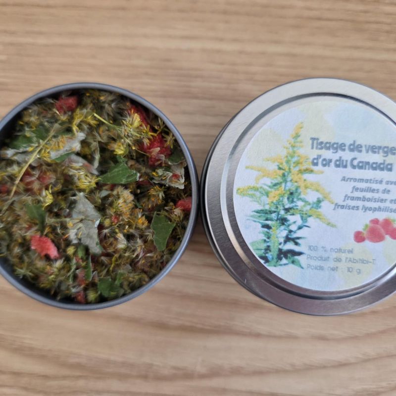 Tisane Verge d'or du Canada