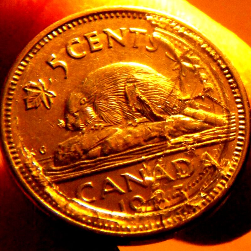 5 Cents Canada - 1985 - ERREURS MULTIPLES - ULTRA RARE ! !