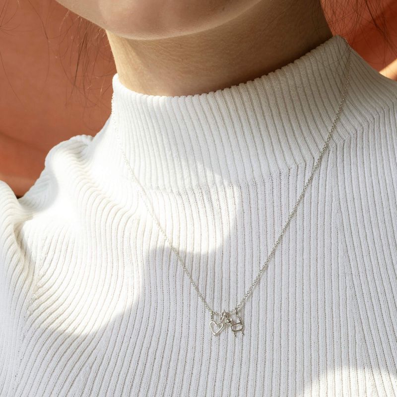 collier délicat chien