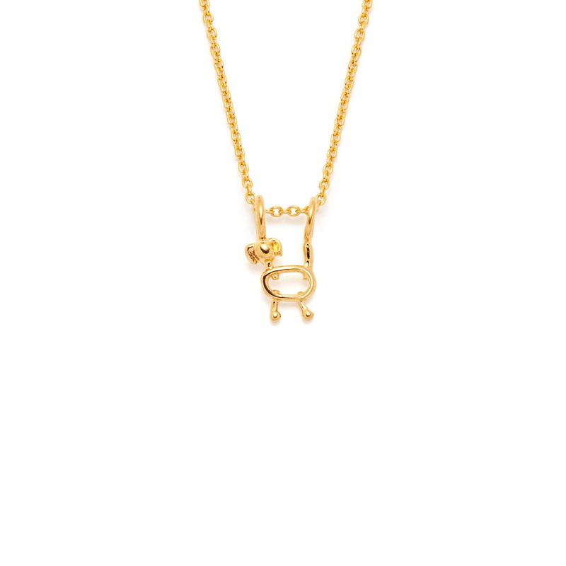 collier délicat chien