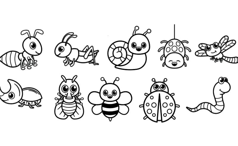 Insectes -Échelle de Croissance personnalisée