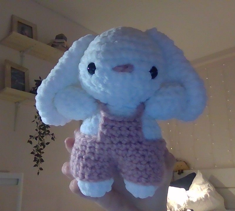 Lapin rose