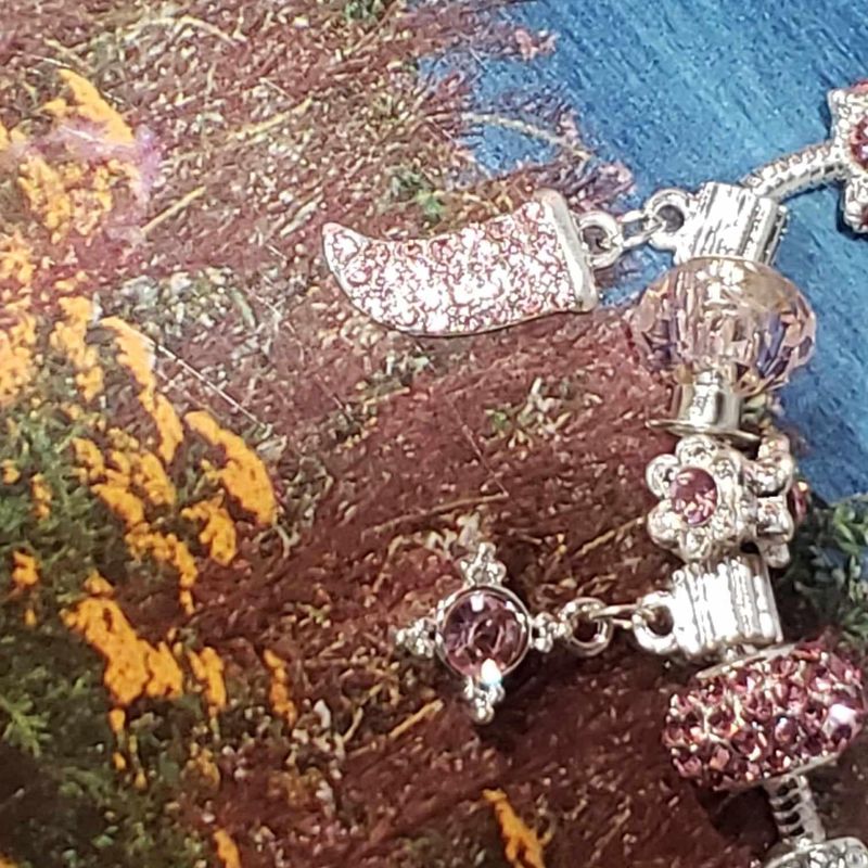 (P-003) Bracelet Western Charmant