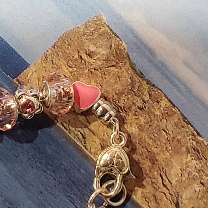 (P-003) Bracelet Western Charmant