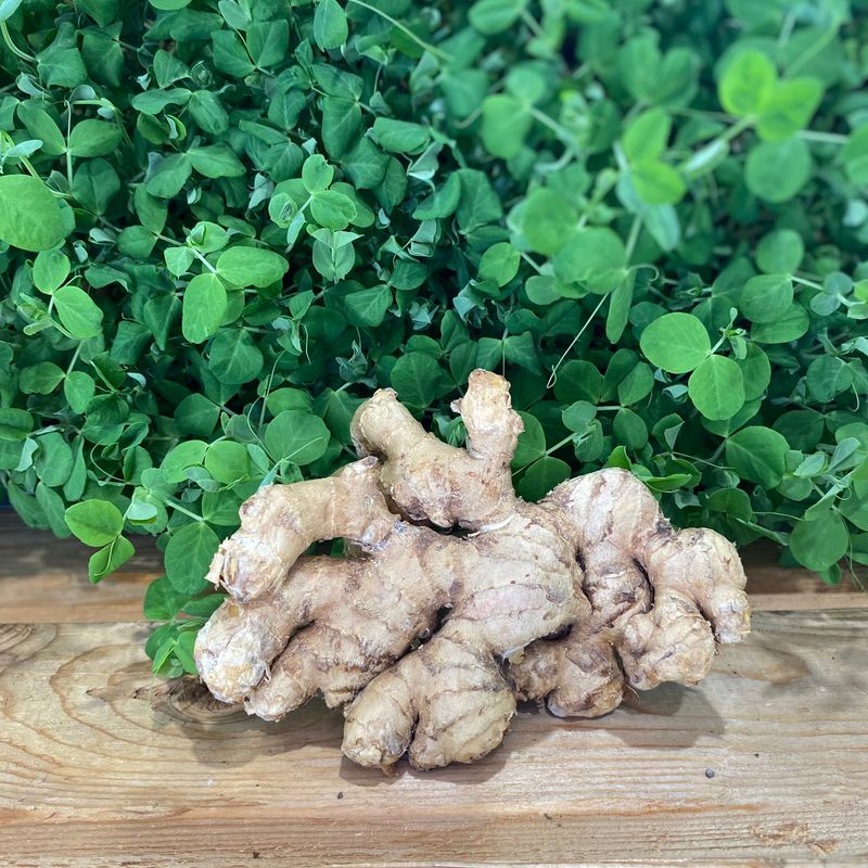 Légume bio