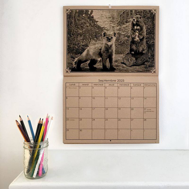 Calendrier 2025 mensuel à colorier - Illustrations animales de Schatzy - Papier Kraft