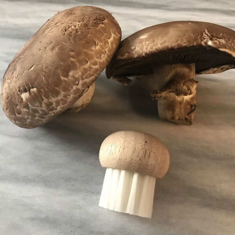 Brosse à champignons en bois