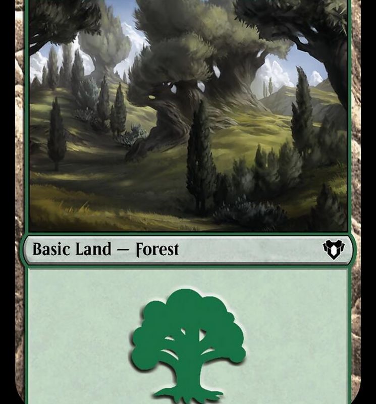 Forest (797) [Commander Masters]