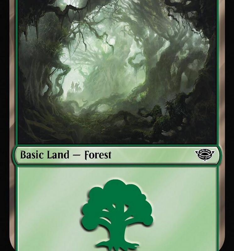 Forest (270) [The Lord of the Rings: Tales of Middle-Earth]