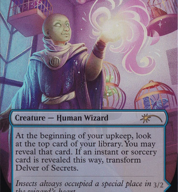 Delver of Secrets // Insectile Aberration (Borderless) [Secret Lair: From Cute to Brute]
