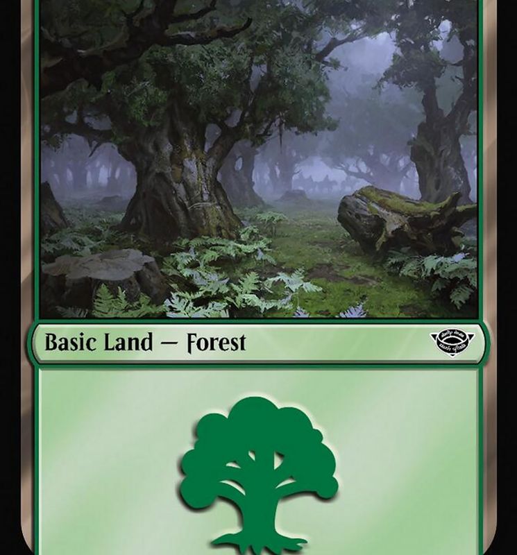 Forest (271) [The Lord of the Rings: Tales of Middle-Earth]