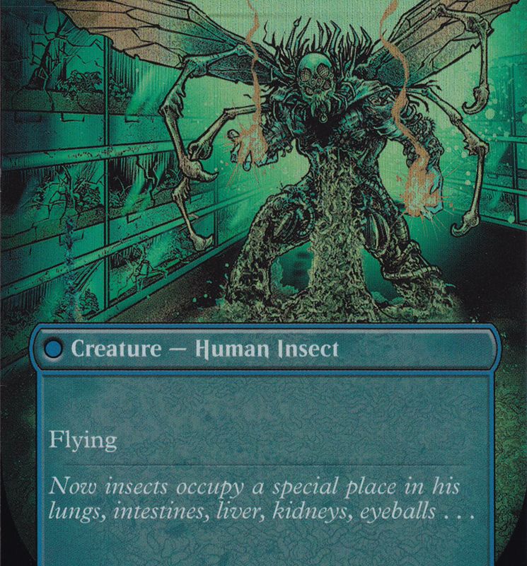 Delver of Secrets // Insectile Aberration (Borderless) [Secret Lair: From Cute to Brute]