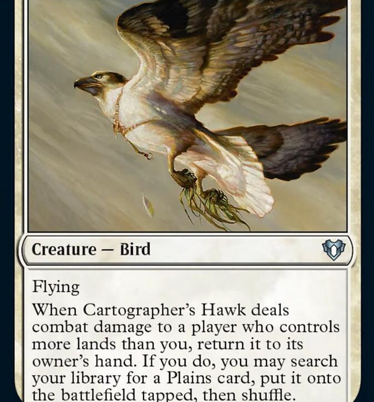 Cartographer's Hawk [Commander Masters]