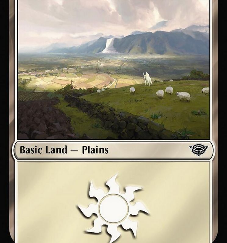 Plains (262) [The Lord of the Rings: Tales of Middle-Earth]