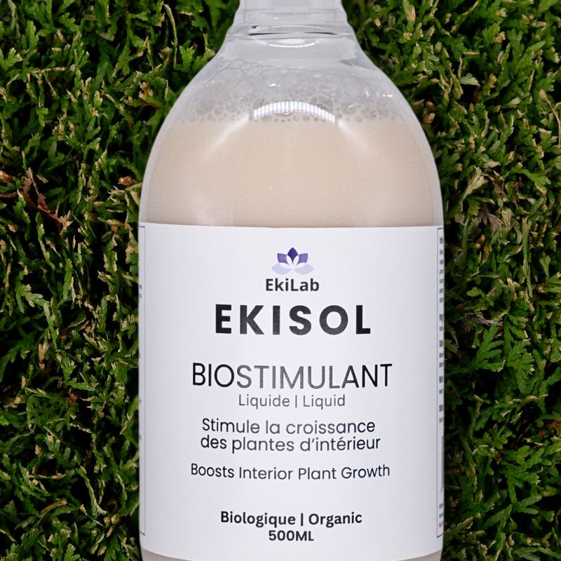 Ekisol Liquide
