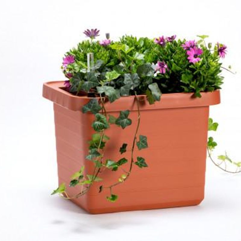 Flower box UNO Berberis Self-watering