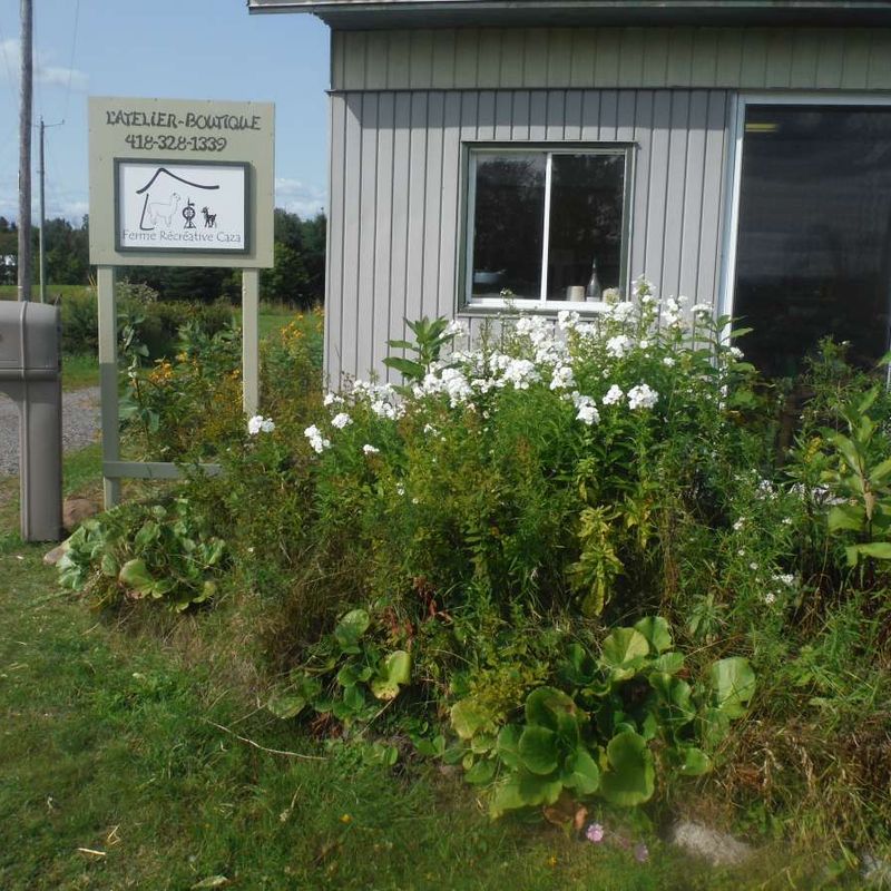 Boutique de la ferme d'alpagas seulement