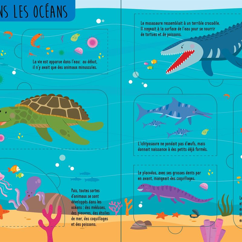 Soulève et découvre : Au temps des dinosaures