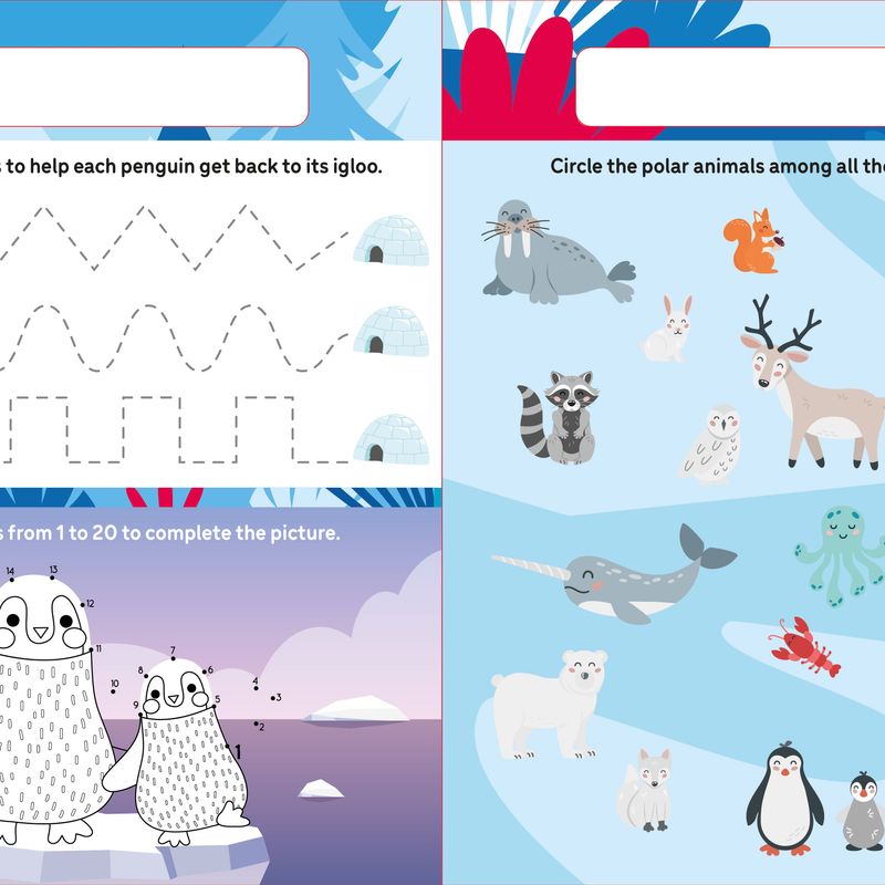 À toi de jouer : Les animaux polaires