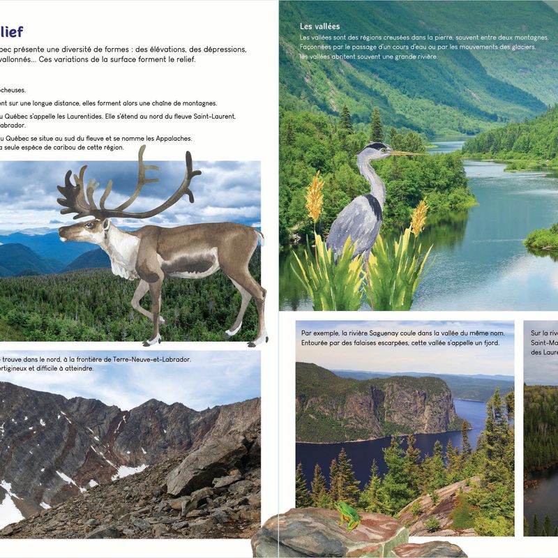 À la découverte de la nature du Québec