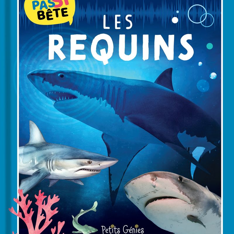 Pas si bête : Les requins