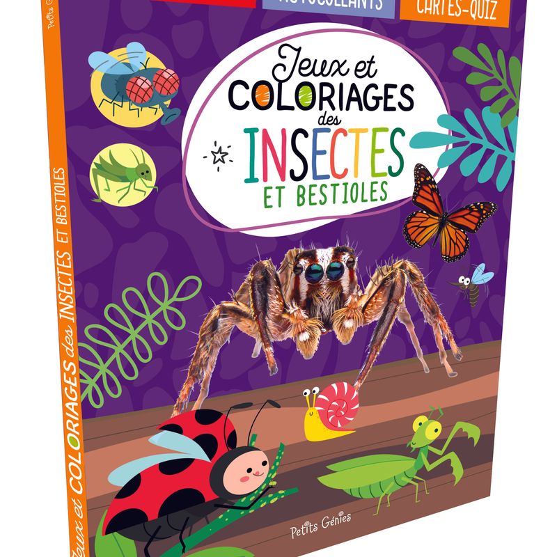 Jeux et coloriages des insectes et bestioles