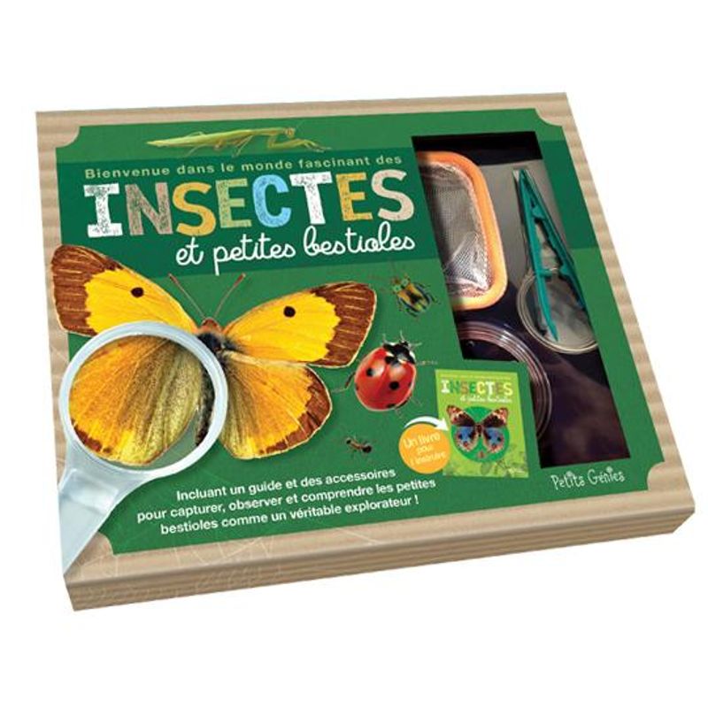 Insectes et petites bestioles