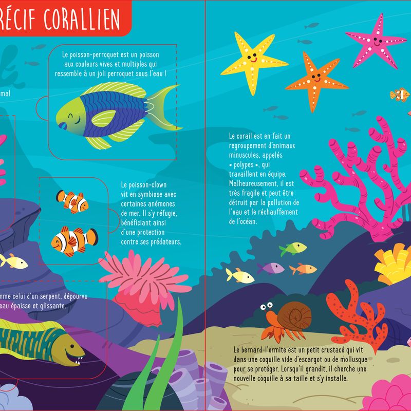 Soulève et découvre : Tes amis marins