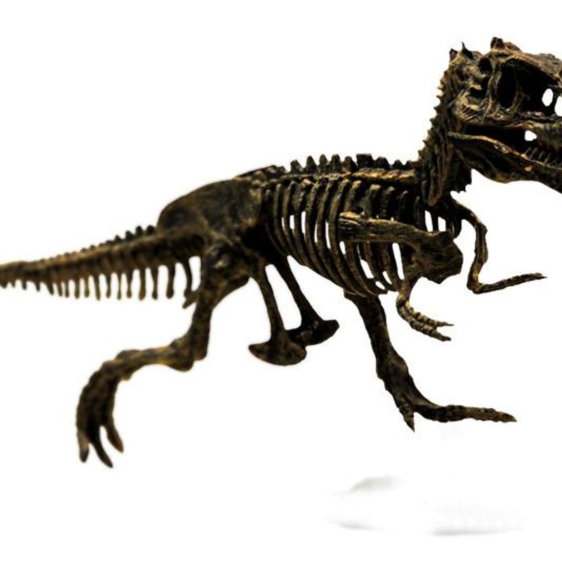 Chasseurs de dinosaures