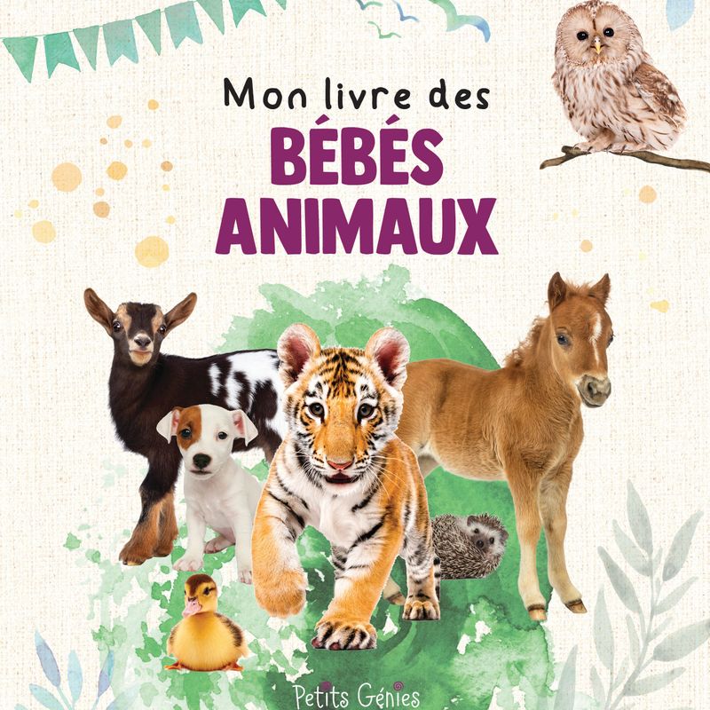 Mon livre des bébés animaux