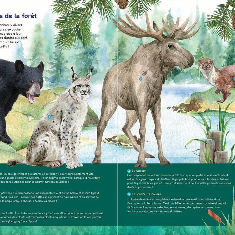 À la découverte de la nature du Québec