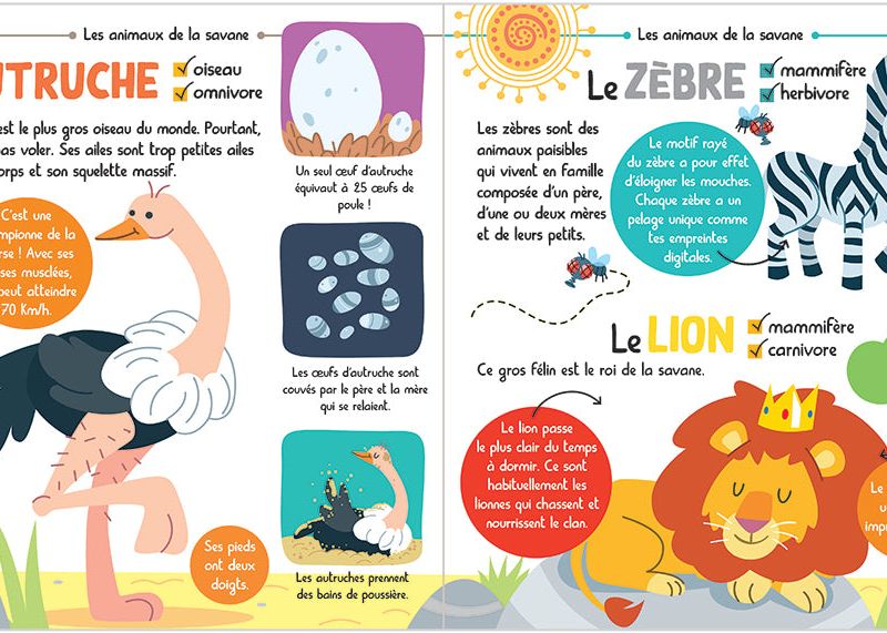 Mon encyclopetit des animaux