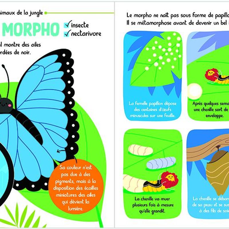 Mon encyclopetit des animaux