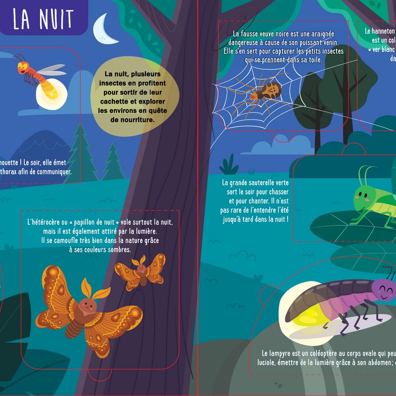 Soulève et découvre : Au pays des insectes et bestioles