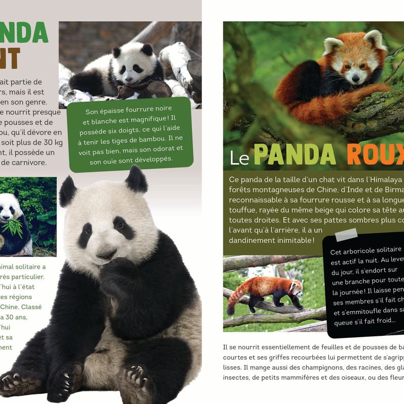 300 faits incroyables sur les animaux