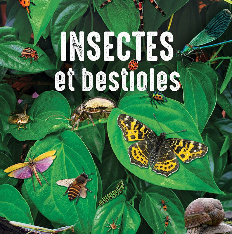 Insectes et bestioles