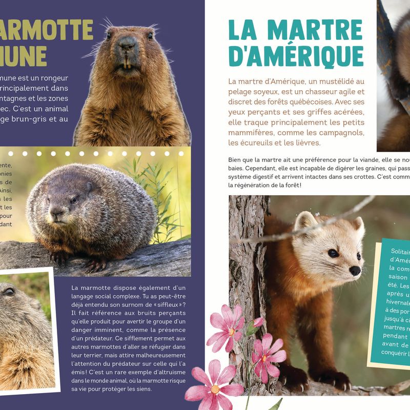100 animaux du Québec