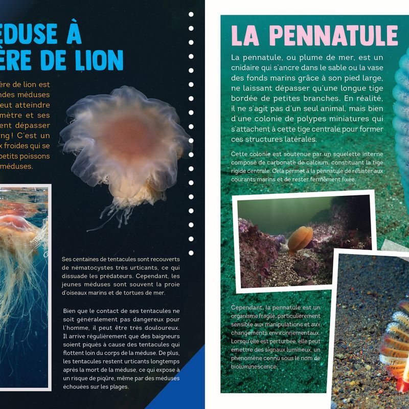 100 animaux du Québec