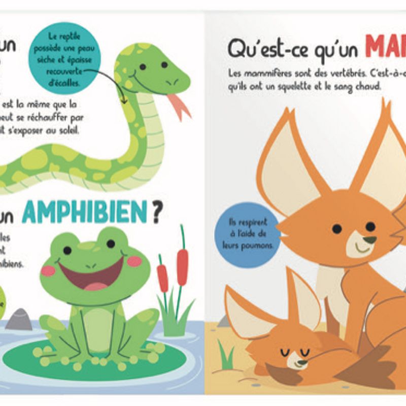 Mon encyclopetit des petites bêtes
