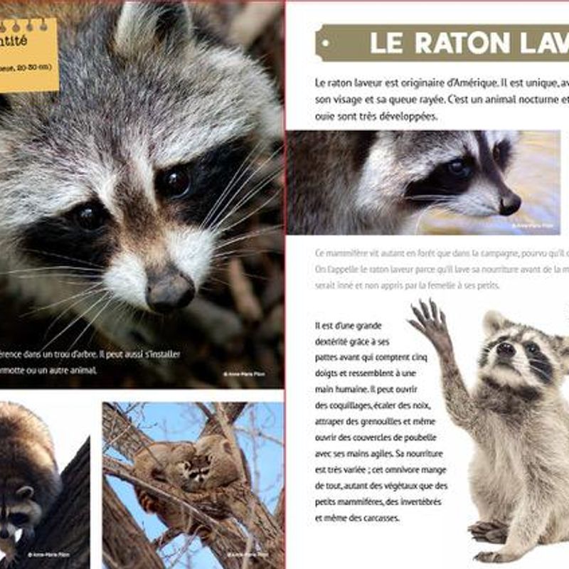 Mon grand animalier du Québec