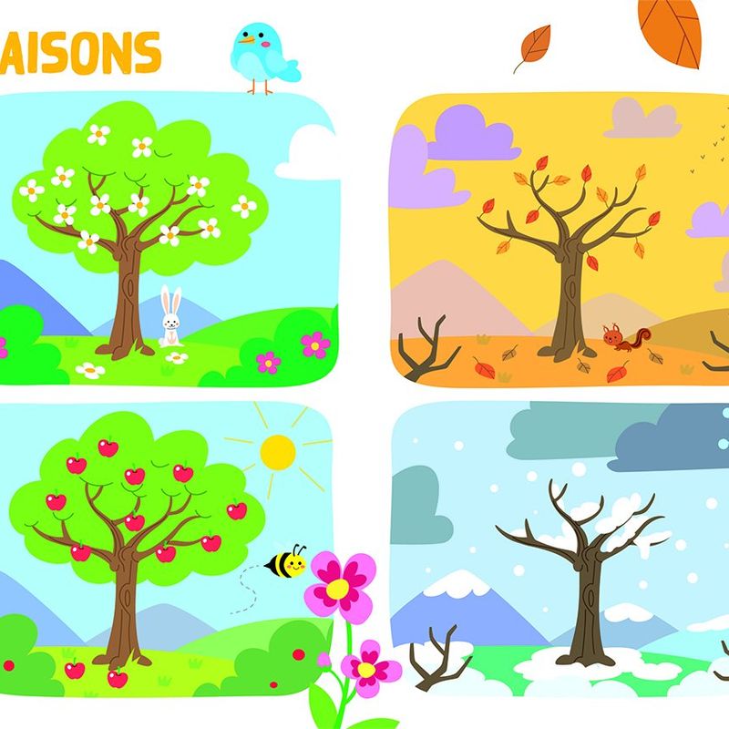 Mon encyclopetit de la nature