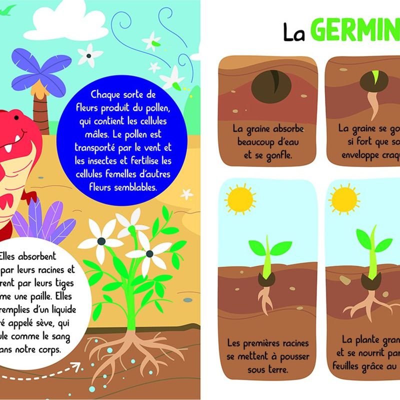 Mon encyclopetit de la nature