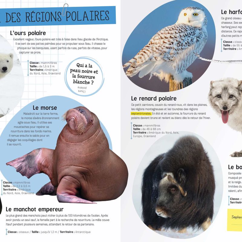 Le monde des animaux