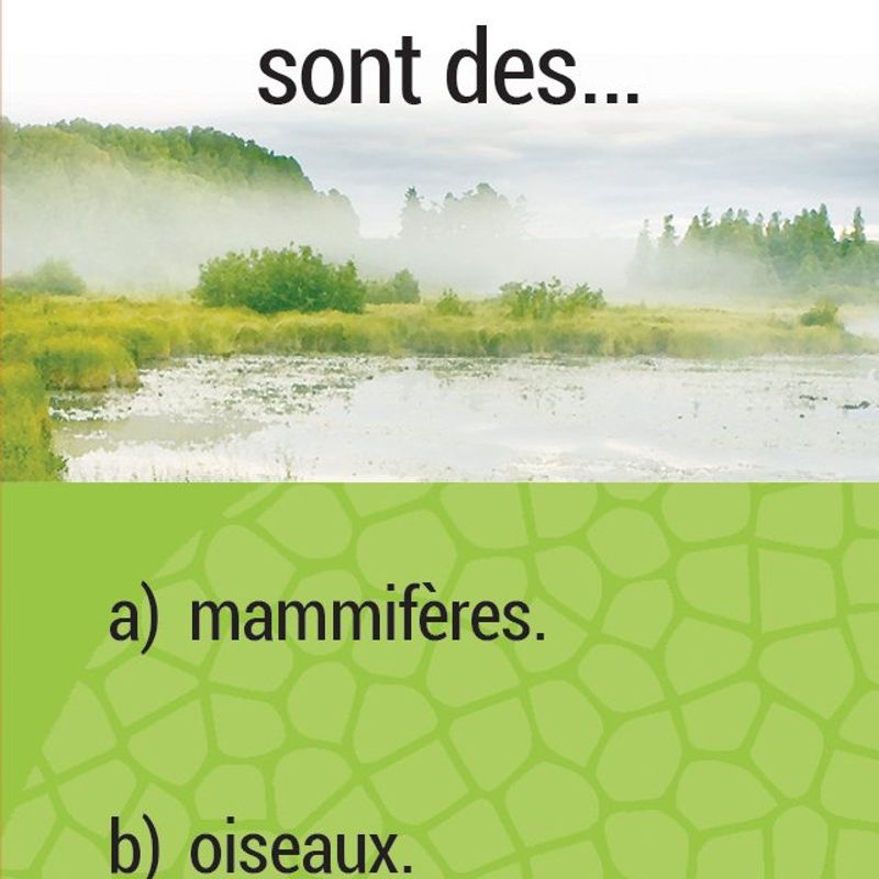 Chasseurs de dinosaures
