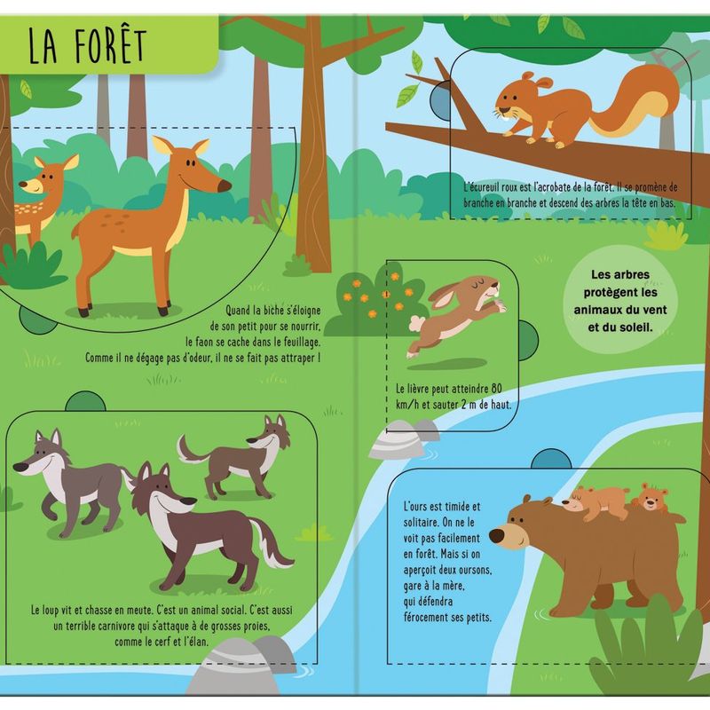 Soulève et découvre : Tes amis les animaux