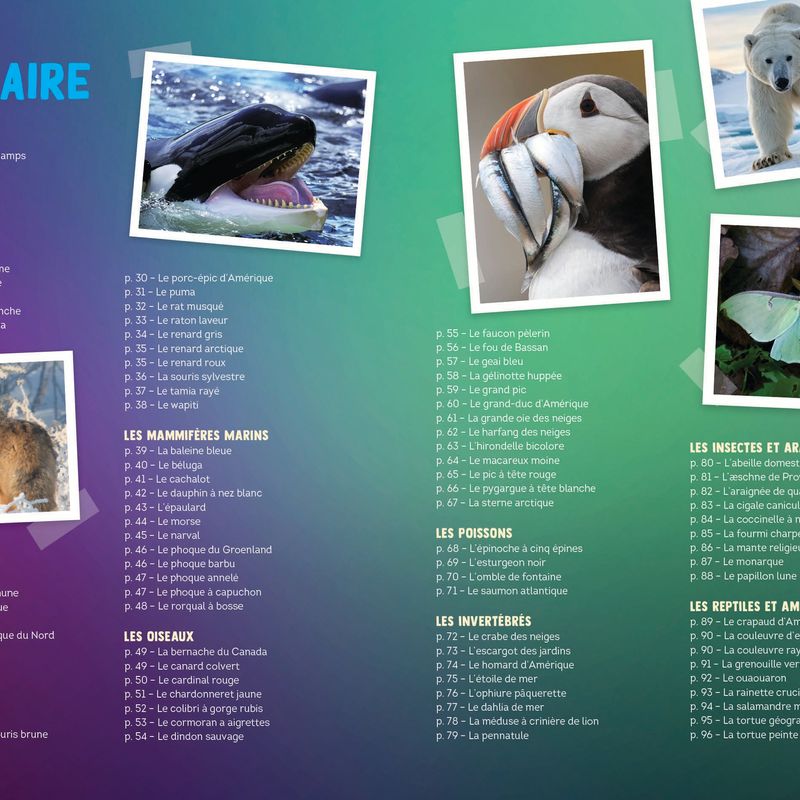 100 animaux du Québec